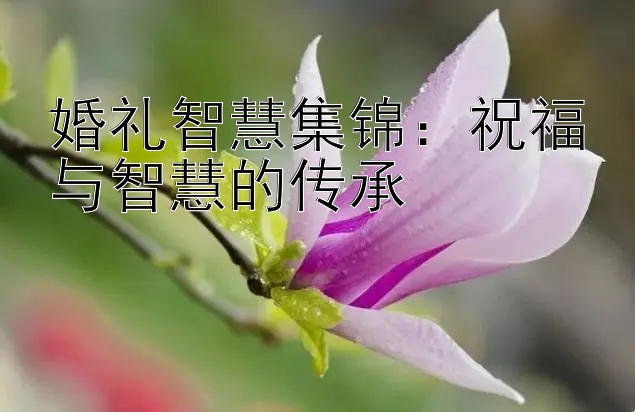 婚礼智慧集锦：祝福与智慧的传承