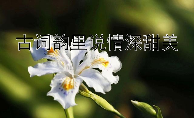 古词韵里说情深甜美