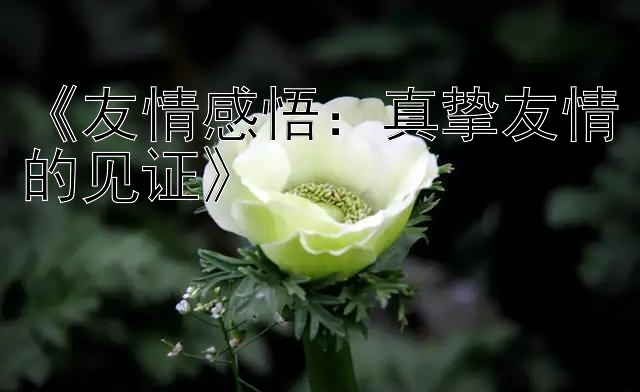 《友情感悟：真挚友情的见证》