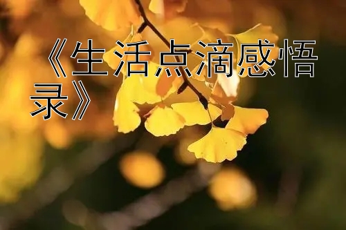 《生活点滴感悟录》