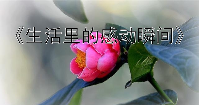 《生活里的感动瞬间》