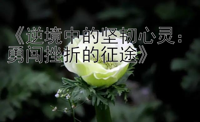 《逆境中的坚韧心灵：勇闯挫折的征途》