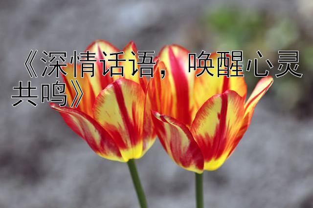 《深情话语，唤醒心灵共鸣》