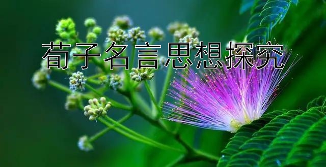 荀子名言思想探究