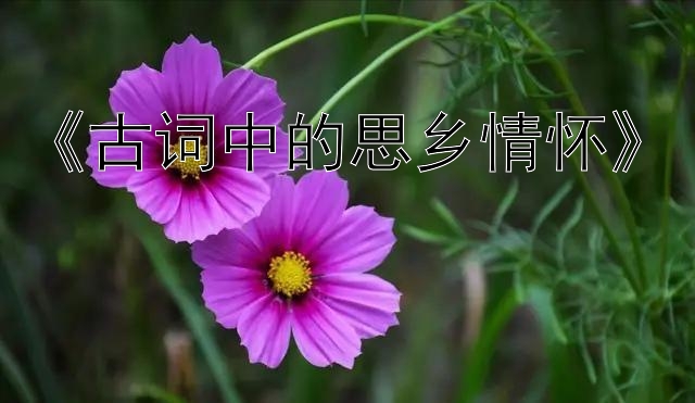 《古词中的思乡情怀》