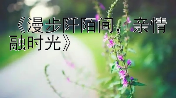 《漫步阡陌间，亲情融时光》