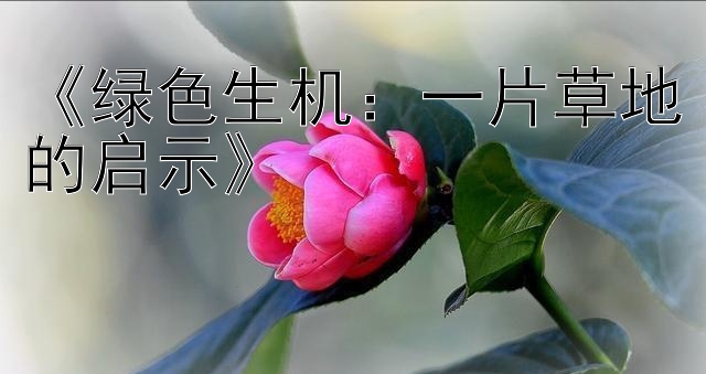 《绿色生机：一片草地的启示》