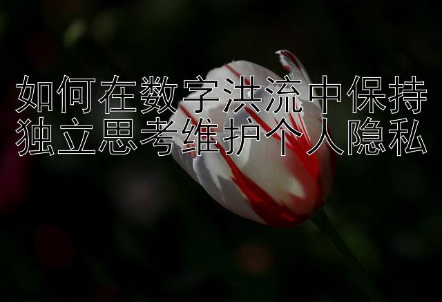 如何在数字洪流中保持独立思考维护个人隐私