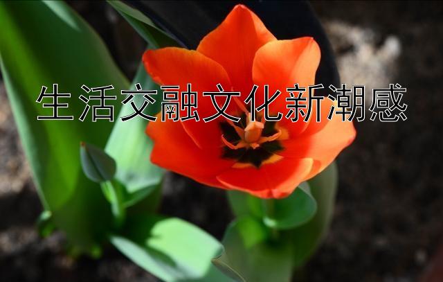 生活交融文化新潮感