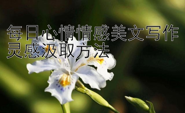 每日心情情感美文写作灵感汲取方法