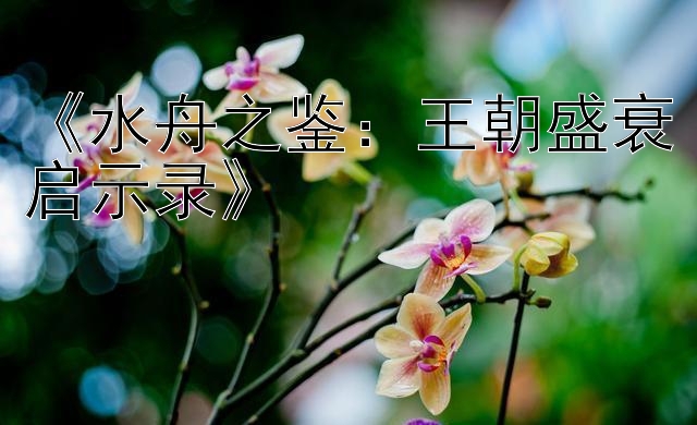 《水舟之鉴：王朝盛衰启示录》