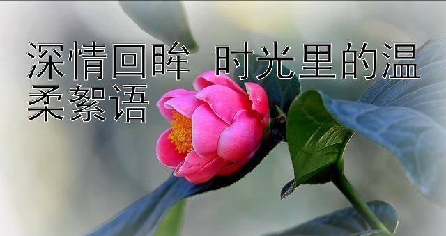 深情回眸 时光里的温柔絮语